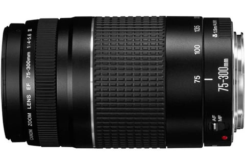 Objectif zoom Canon EF 75-300mm f/4-5,6 III