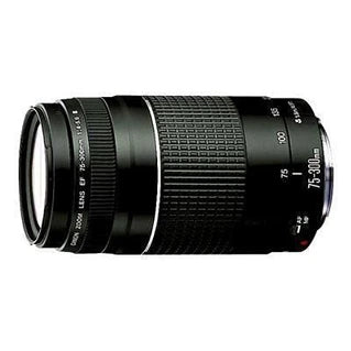Objectif zoom Canon EF 75-300mm f/4-5,6 III